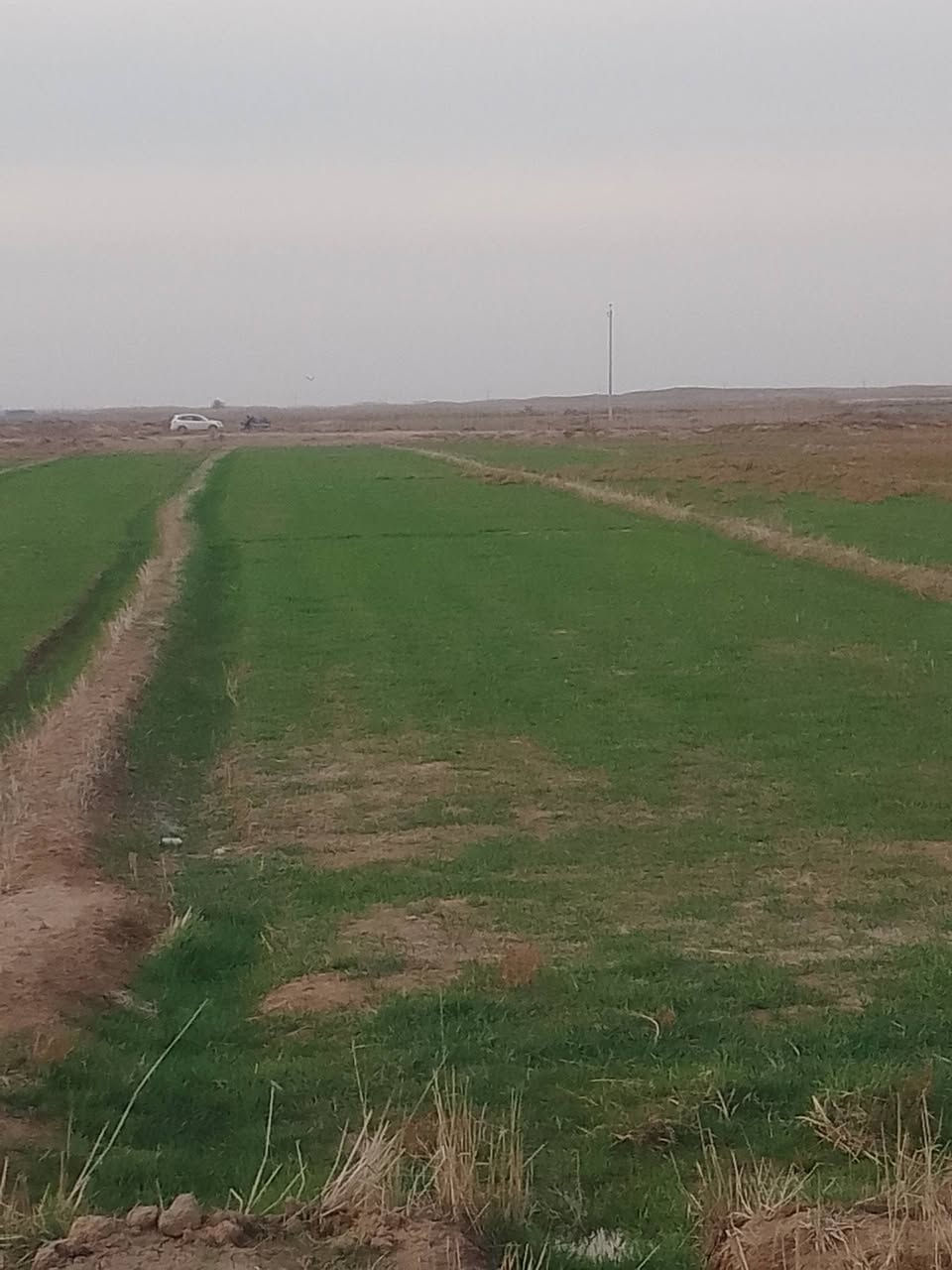 جاير 12دونم لضمان
المكان قرب ق 6الجسر الشارع العام 
ت/***********/تصل ودلل
