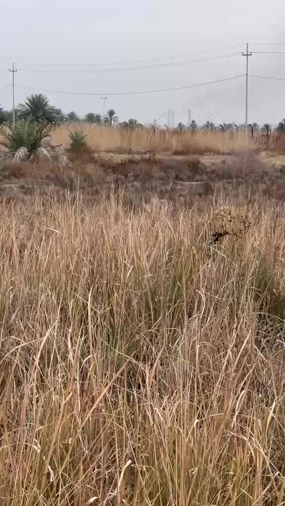 السلام عليكم بودي انجليزي مال دراج كامل مواصفات ***********
