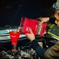 وولفر ألماني أصلي • محطة الأمير • ذي قار الرفاعي