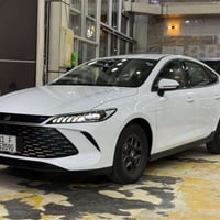 Byd جين بلاص  2025  ماشيه 300  مرقم مثبت لوحات وجاهز  داخل جلد زيتوني ...