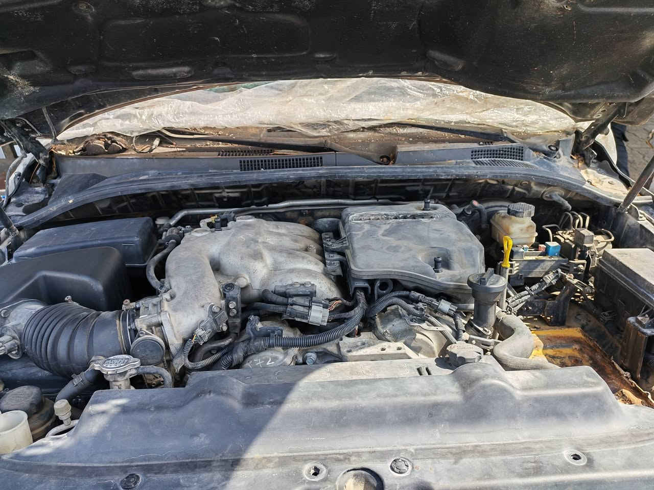 كصه، سورنتو محرك 3800بلادي 
بغداد الطالبيه مقابيل مشفى مارينا الاهلي محل وسام الجيزاني
***********
***********
