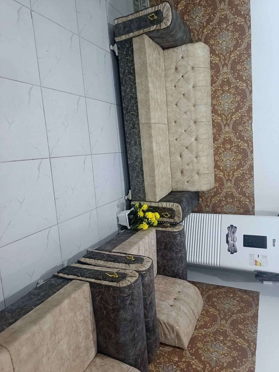 تخم للبيع نضيف كلش ثكيل تفصال زلغ مابي شرط.. 5 قطع... 300 بي مجال اي استفسار خاص Singapore


**إذا كنت صاحب هذا الإعلان وتريد حذفه لأي سبب، رجاءا أرسل رسالة إلى الدعم الفني**