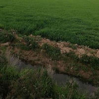 دونم • دوايه قطاع ثالث • ماي وكهرباء