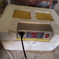 بسم الله ماشاء الله فقاسه البيع درجه وله تاخذ بيض دجاج 24بيضه تاخذ بيض...