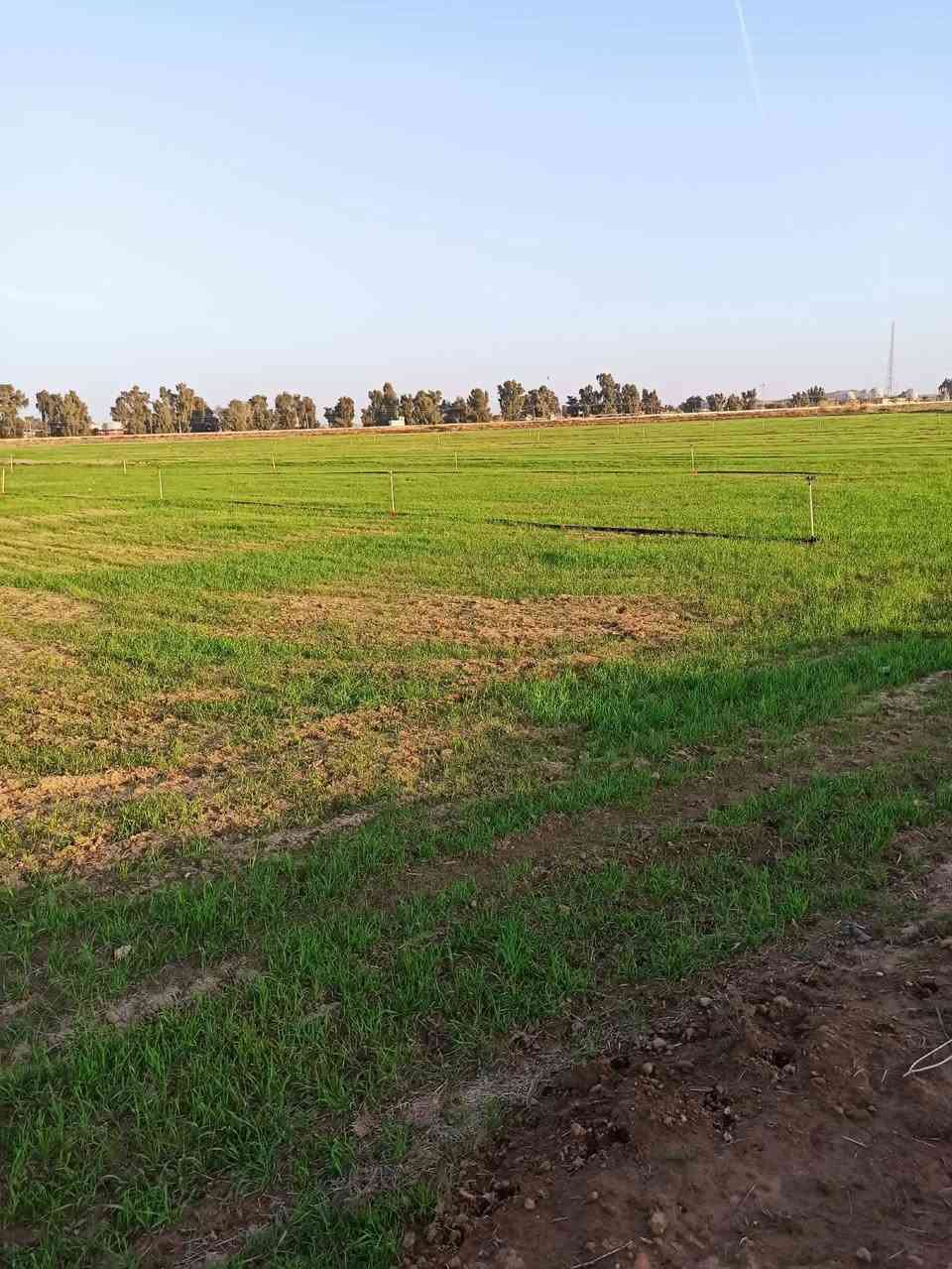 قطع اراضي للبيع في حمام العليل قرب مستودع النفط ومعمل الغاز سند 25 طابو زراعي


**إذا كنت صاحب هذا الإعلان وتريد حذفه لأي سبب، رجاءا أرسل رسالة إلى الدعم الفني**