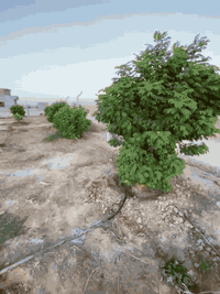 السلام عليكم 
دونم 50×50 شارع 8متر على ثلاث جهات بالقرب من شارع الزيتون في منطقة سكنية للأستفسار الاتصال على الرقم ***********/***********
