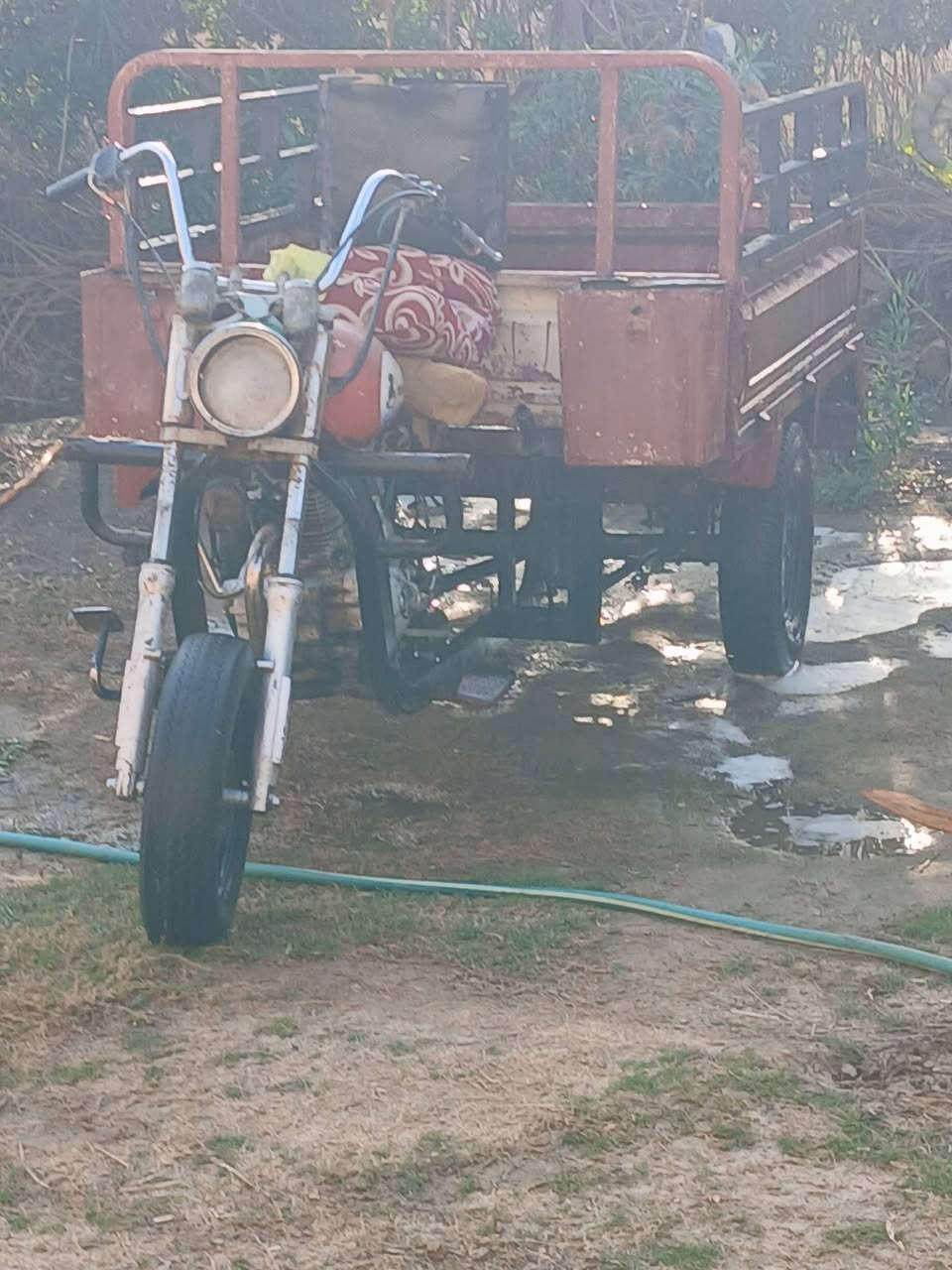 سلام عليكم ستوته البيع ديوان  كلك كلك  مكفولي العنوان صويره تصال عل رقم.  ***********
