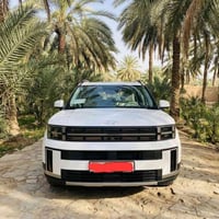 سنتافي 2024 • ممشا ٤٥٠٠ • رقم بصره