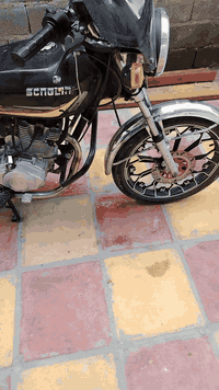 السلام عليكم. دراجه موديل 24. مكينه ما مفتوحه. دراجه مداريه. كهربائيات ڱڵـه. شغاله. مثل ما موضح بل الفيديو. حورت المازده مالته مال بوكسر اشاير بوكسر. يعني تكدر شد زنون. نركه سلف وهندر واحد تشتغل. مكاني بغداد مدينه الصدر.  السعر 650. وبيه مجال بسيط. ***********
