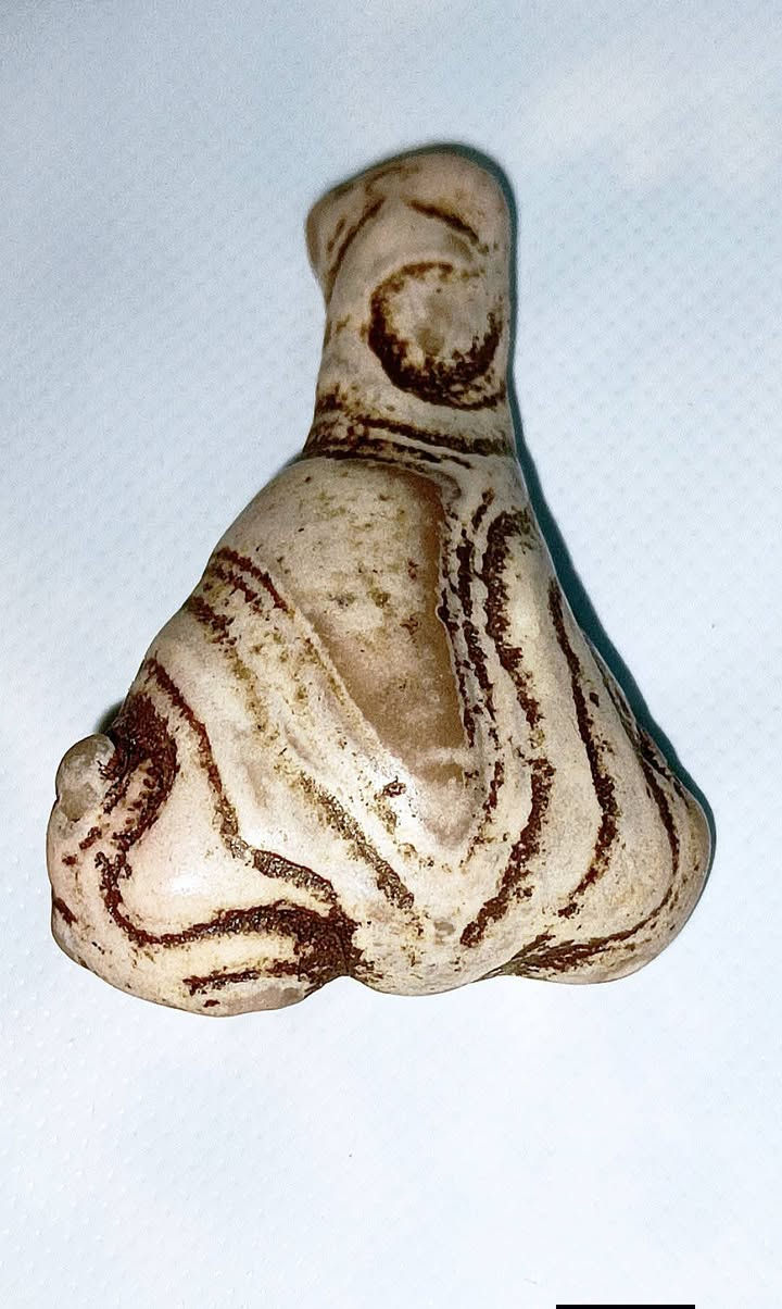 منگل نوادر النوادر تحف ومال زماط سلطاني عطف قديم وانتيك فول الفول وشرط الشغل تاخذة منجم 14 ليلة وبي توكيل عام وجاهز للحمل شغلة جاه وجاها مهابه محبه قبول طاعة تسهيل امور بيع وشراء عام وخدام وجاهز للحمل يعمل دوائر دولة عكد لسان  يوجد توصيل ***********       ***********
