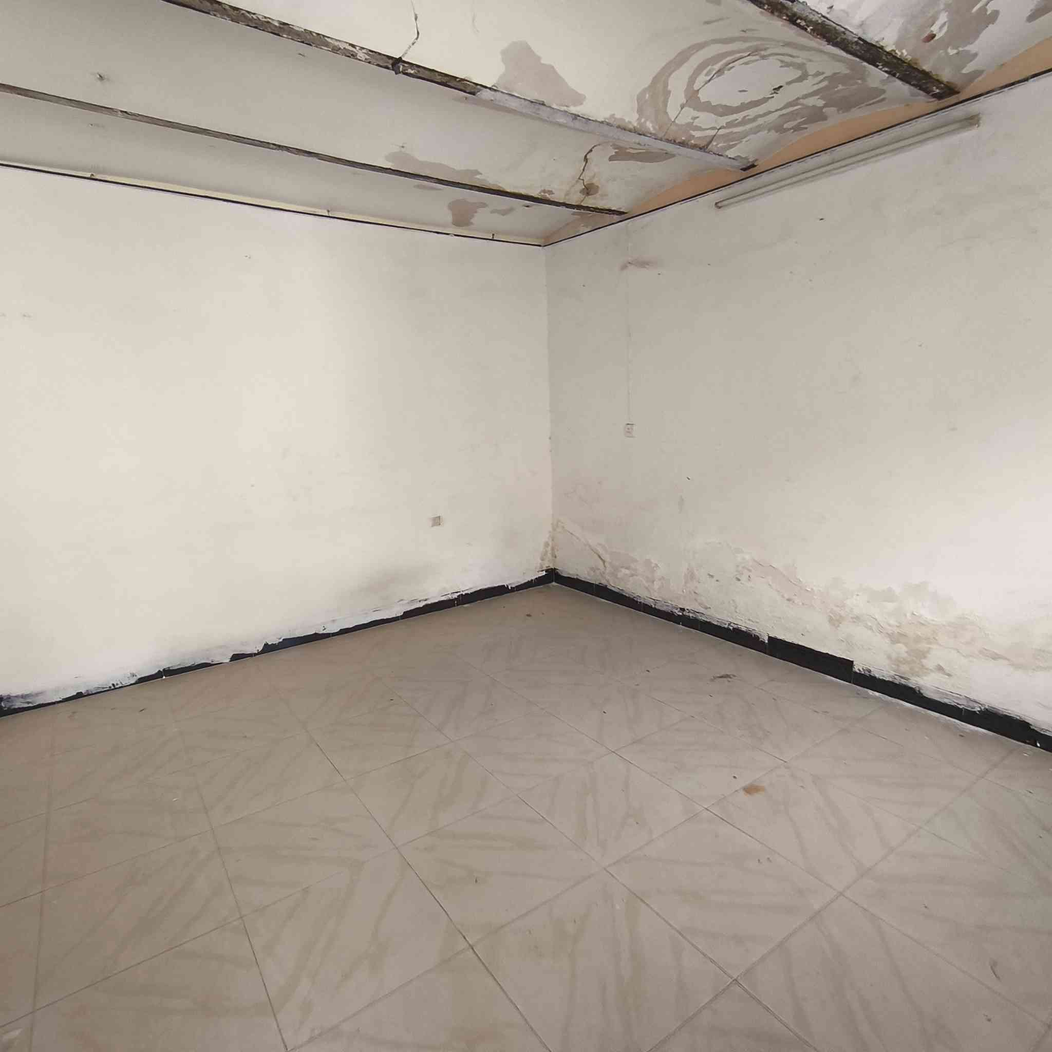 اعلان رقم (801)
بيت طابو طابق واحد للبيع 
مساحة/150م 
العنوان/ زراعة 
السعر/56 مليون 
-----------------------
للاستفسار اكثر مراجعة مكتب محمد الواقع في فلكة راس فرع جامع الامام علي او اتصال بالارقام التالي 
***********
***********
نستقبل كافة عروضاتكم سكنية وتجارية في كافة المناطق طوز و كركوك..
