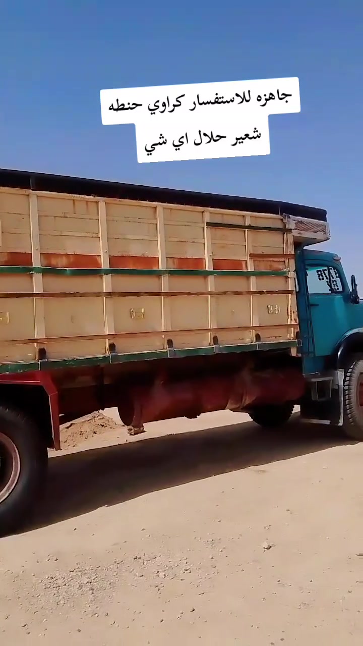 لوري جاهزه من الرمادي للقائم حنطه شعير حلال للاستفسار ***********
