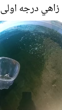 منظفات • جملة • توصيل بغداد مجاني