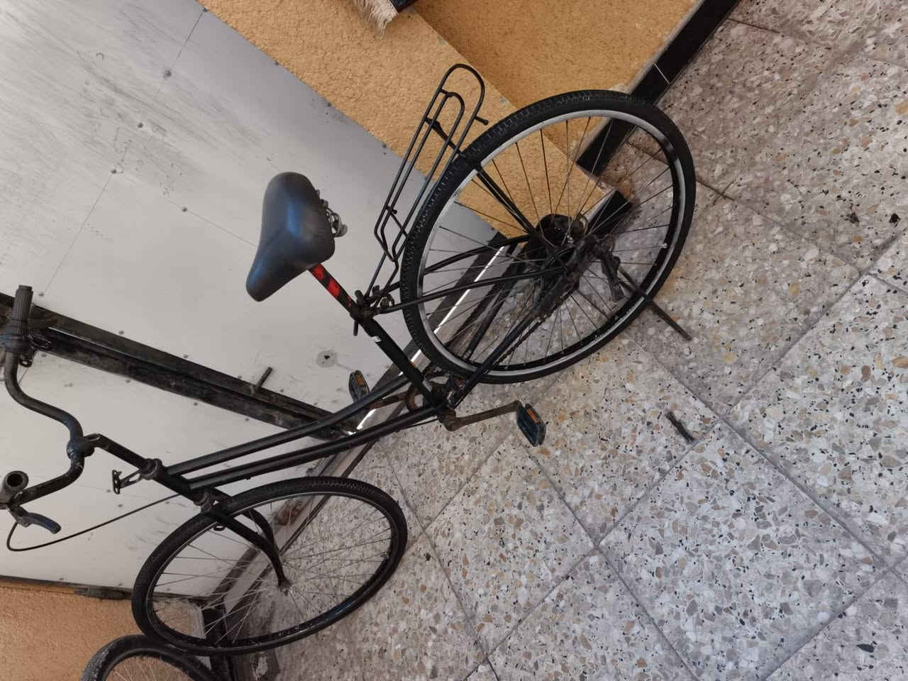 السلام عليكم اخوان للبيع بايسكل سياحي حجم 27باله مصبوغ تايرات جدد سله جديده سرج نضيف ابريك شغال بايسكل كله شغال مابي اي ملعب سعره 45 بي مجال 
مكاني بصره صبخة العرب 
رقم ***********
