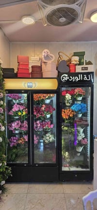 عارضات اثنين للبيع بسعر مناسب 07700877736