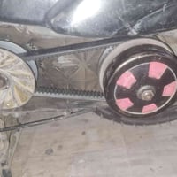 صالنصه • فحل رياضي • بغداد الحرية