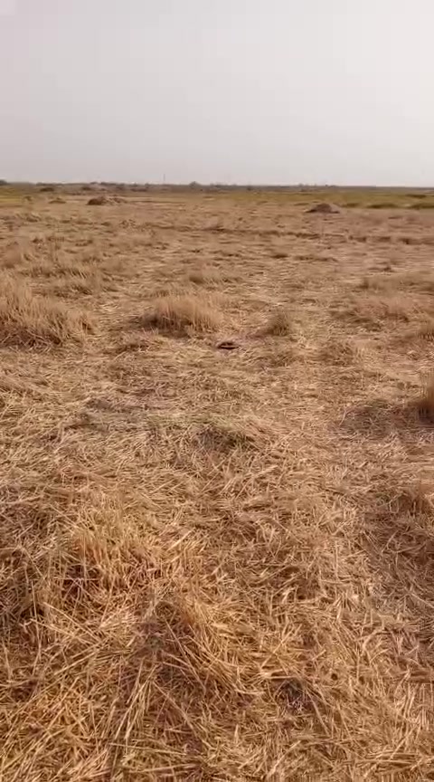 18دونم البيع عله اشط المصيفي عله الشط


**إذا كنت صاحب هذا الإعلان وتريد حذفه لأي سبب، رجاءا أرسل رسالة إلى الدعم الفني**