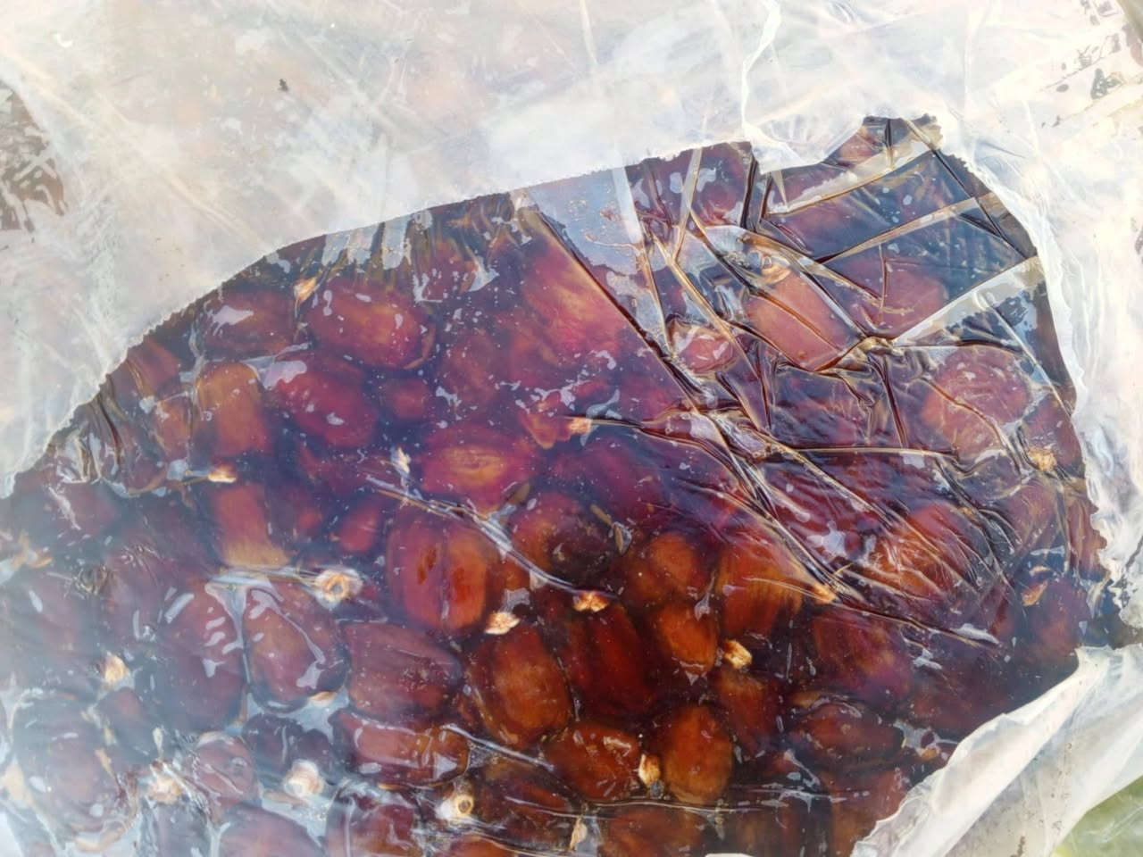 تمر شكر خشنه ونظيفه على الفحص ارقى تمره ورخص تمره سعر الكيلو ب١٠٠٠وتوصيل مجاني


**إذا كنت صاحب هذا الإعلان وتريد حذفه لأي سبب، رجاءا أرسل رسالة إلى الدعم الفني**