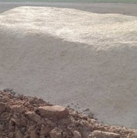 تبن • كيس ٦٠ • توصيل مجاني