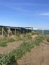 قضاء رزگاری سموود • دونم • رخيص