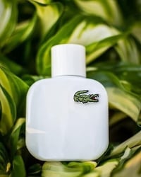 لاكوست • خشبي اروماتك • للرجال