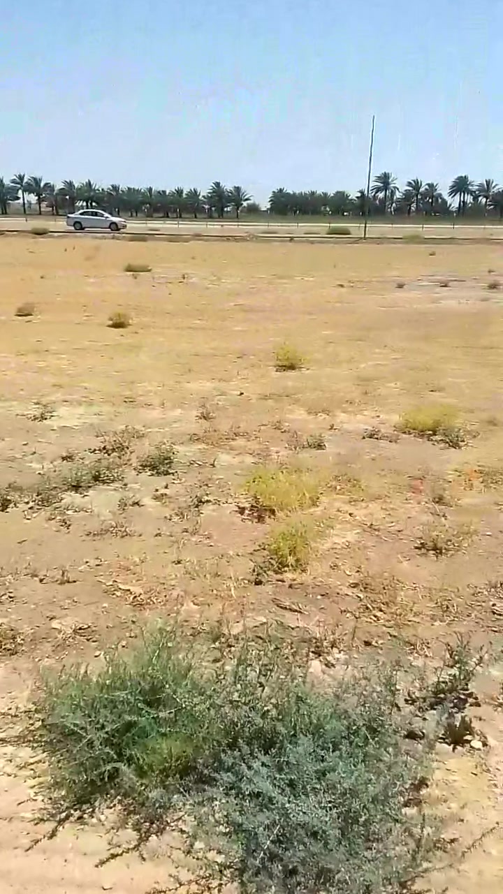 السلام عليكم قطعت ارض للبيع المساحه 500م قريبه كلش عله مزار العلويه شريفه ع خدمات متوفره سند 25 تحول مباشر للستفسار ***********
