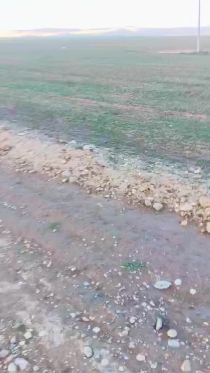 السلام عليكم ورحمة الله وبركاته يوجد قطعه ارض للبيع المساحه ٣٦ دونم زراعي قرار ٢٥ الستفسار الاتصال على الرقم *********** اني مكلف بل النشر
