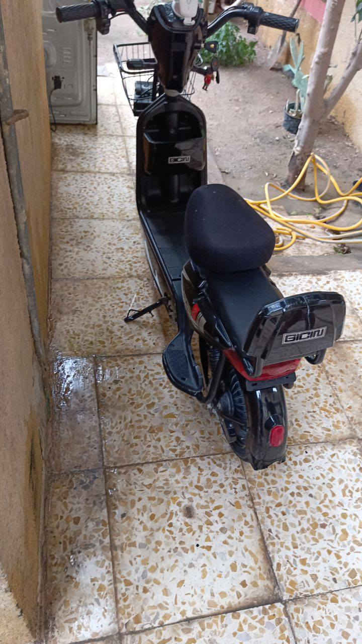 سلام عليكم 
باسكل شحن حجم 14 للبيع 
السعر 140 وبي مجال حك جيه 
مستعجل عله بيعته
مكاني كربلاء حي السلام


**إذا كنت صاحب هذا الإعلان وتريد حذفه لأي سبب، رجاءا أرسل رسالة إلى الدعم الفني**