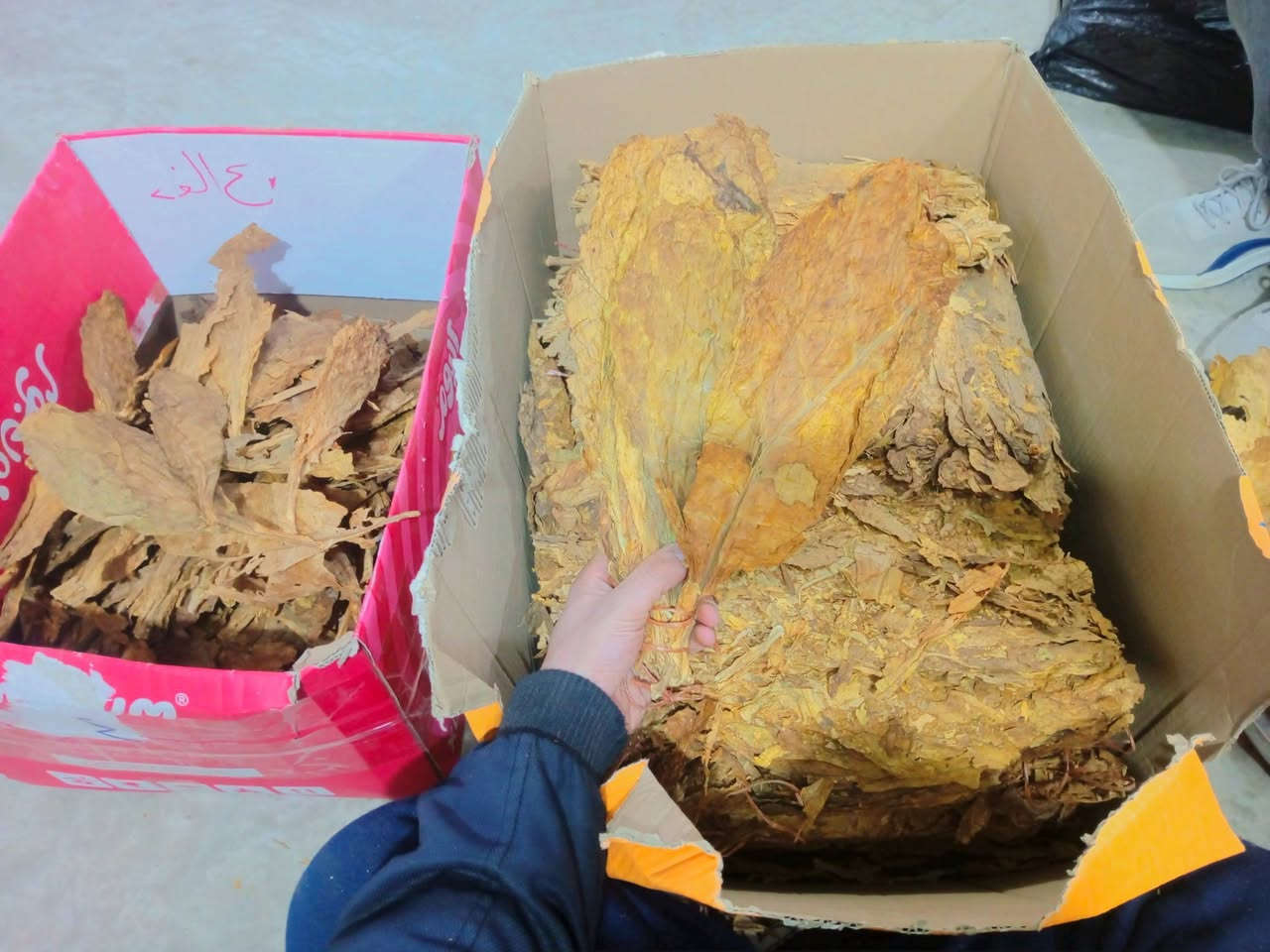 @إشارة  تتن  زراعی صافي  صنف درجه اولی 
متوفر كافة احتياجات التتن
العنوان تلعفر دورت القلعه 
متوفر خدمة التوصیل ***********
