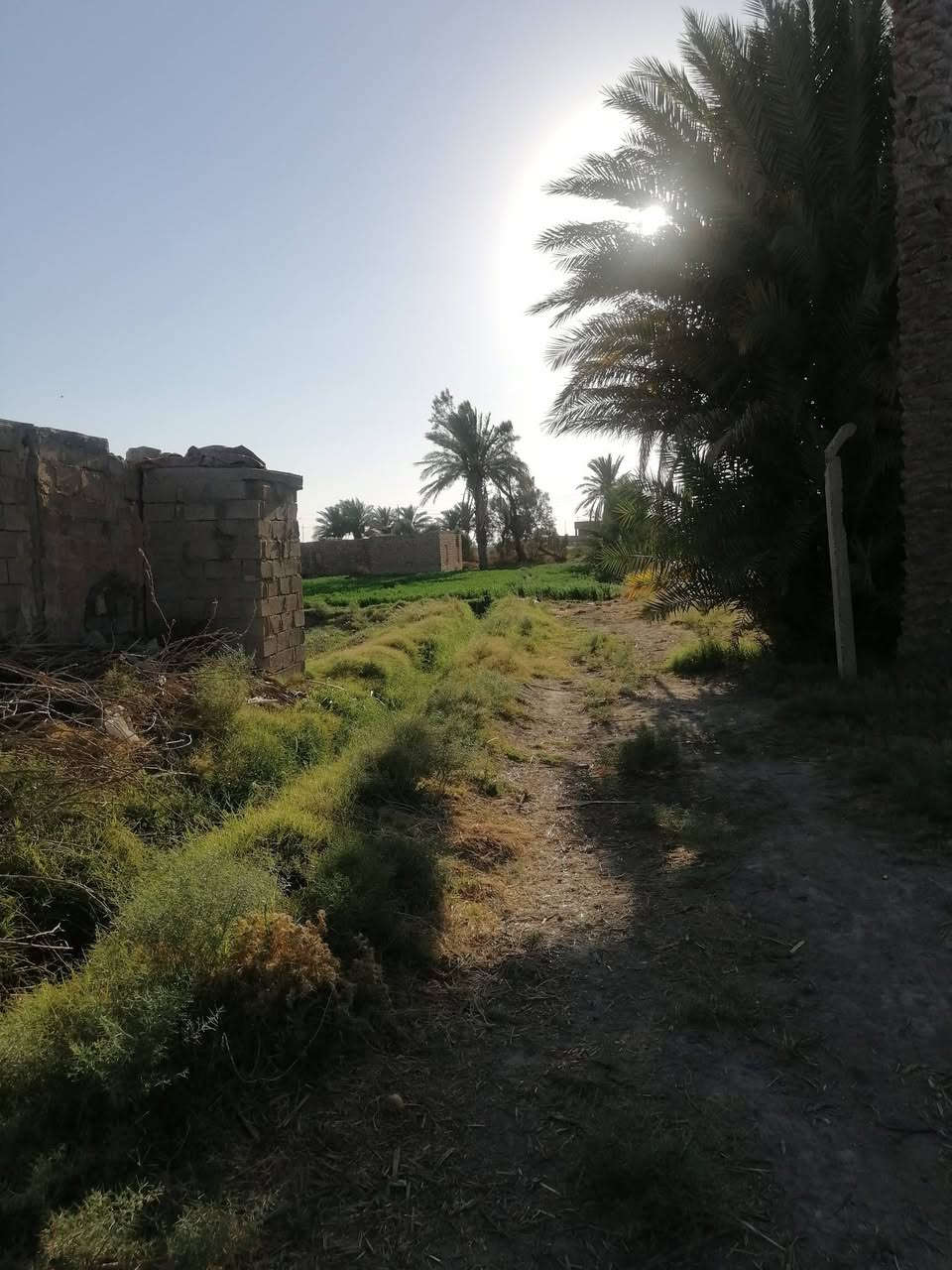 للبيع : أرض زراعيه خلف السده مباشره (مدينة الرمادي).
     طابو زراعي سند (25) تحويل مباشر ضمان حقوق
      المشتري..موقع جيد جدا وجميع الخدمات متوفره 
       رمادي البوعيثه قرب مزرعة الزعيم.
      المساحه / 2 ونص دونمين ونص/ ماء وكهرباء 
     للاستفسار مع مكتب أبو وسام للعقارات
    للجاد بالشراء الإتصال على الرقم/ ***********
     مكتبنا رمادي شارع٤٠ مقابل جامع الواثق
