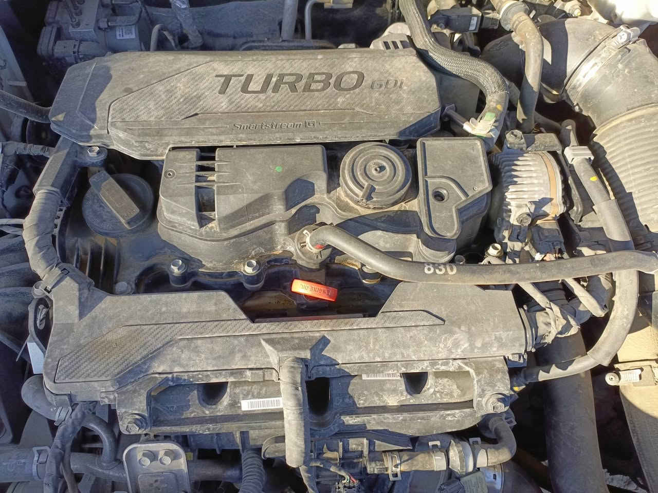 السلام عليكم ورحمه الله ،،،،
توكسون ابيض ،،، 2022 نينوى ،،، رقم مسطره 
محرك شرط ،،، كير شرط 
شرط التحويل ،،، 
السعر ،،، 185 ،،، وبيها مجال 
العنوان ،،، موصل حي التأميم 
تلفون ***********
