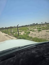 ٢٠٠٠م • طابو زراعي • منطقة السجاد
