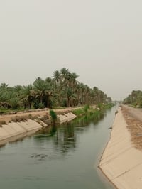 بابل • دونمين • طابو زراعي