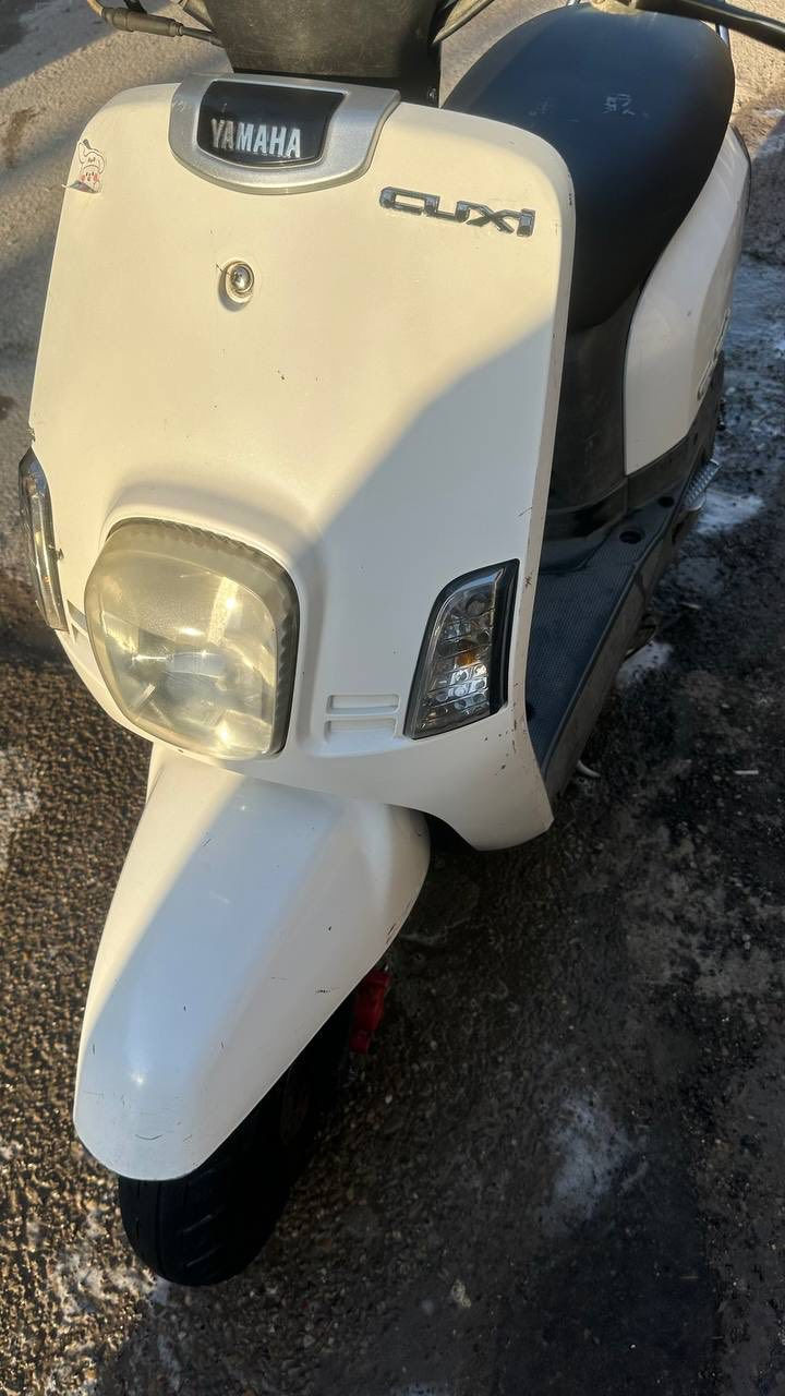 ‏السلام عليكم ماكس بوليس للبيع ختم واحد بلادية للاستفسار على الرقم *********** مكاني بغداد الدورة
