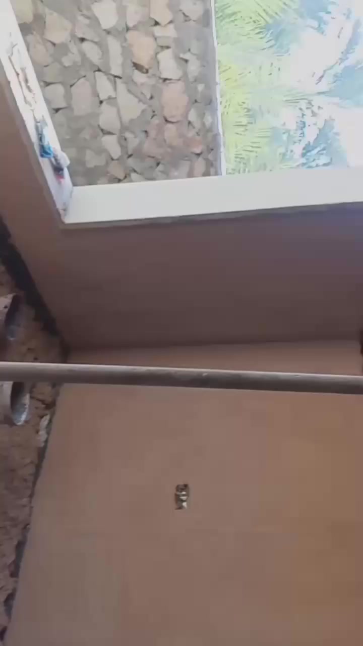 السلام عليكم خلفه بناء ولبخ
متفرغ حالين شغل درجه اولا أن شاءالله 
  مصداقيه والتزام للعمل مكاني نجف

***********
