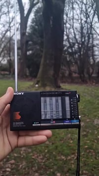 صوت الصين • صيني