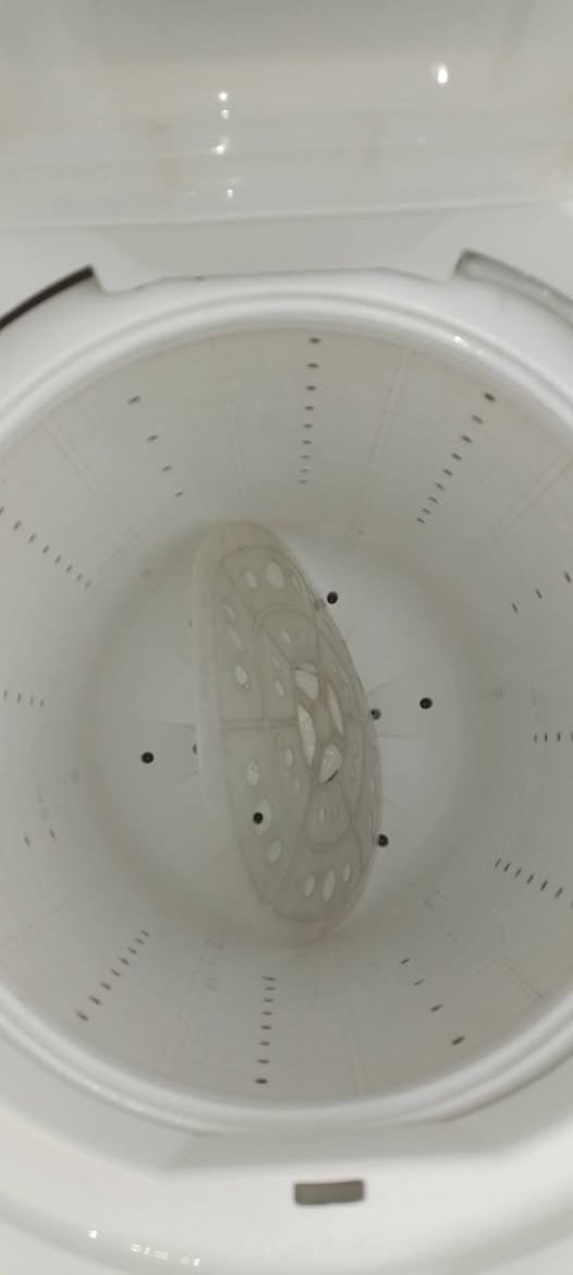 غساله ميديا نضيفه وكله شغاله تغسل بطانية اكبر حجم بلغسالات


**إذا كنت صاحب هذا الإعلان وتريد حذفه لأي سبب، رجاءا أرسل رسالة إلى الدعم الفني**