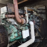 ڤالفو D12 • بدون بخار • قضاء رانية