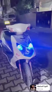 السلام سكنس فحل للبيع الدراجه مكفوله برغي ممفتوح بيهه الدراجه نوزل صار...