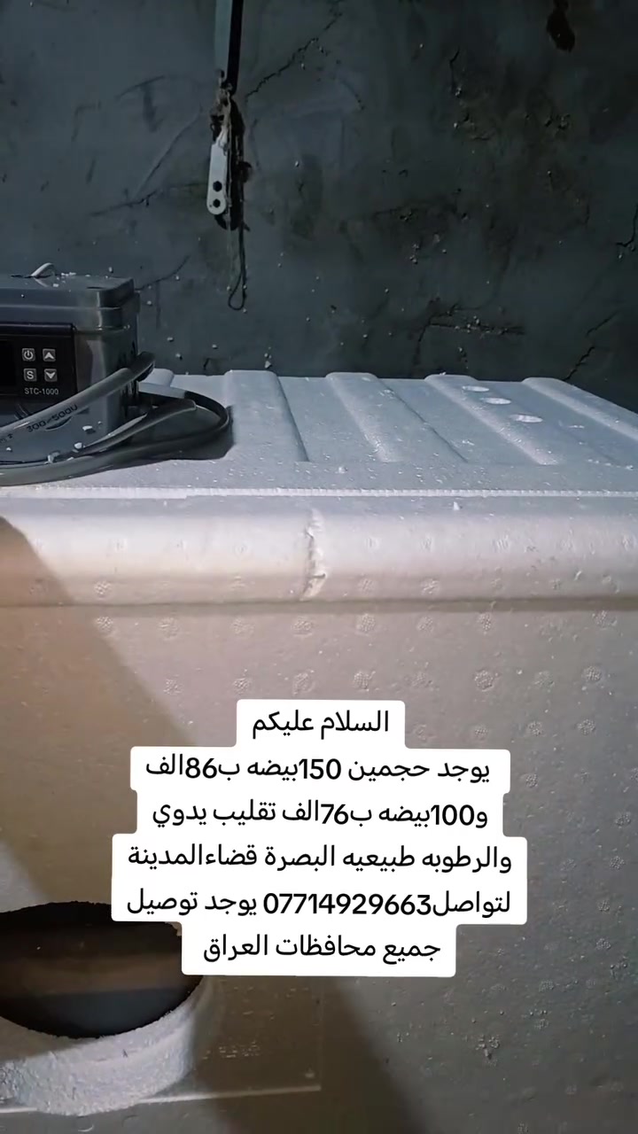 السلام عليكم
يوجد حجمين 150بيضه ب86الف و100بيضه ب76الف تقليب يدوي والرطوبه طبيعيه البصرة قضاءالمدينة لتواصل*********** يوجد توصيل جميع محافظات العراق
