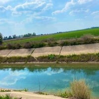 للبيع ٤٣ دونم سند ٢٥ سعر الدونم ١٠ مليون طابو زراعي  اطراف بغداد قرب ن...