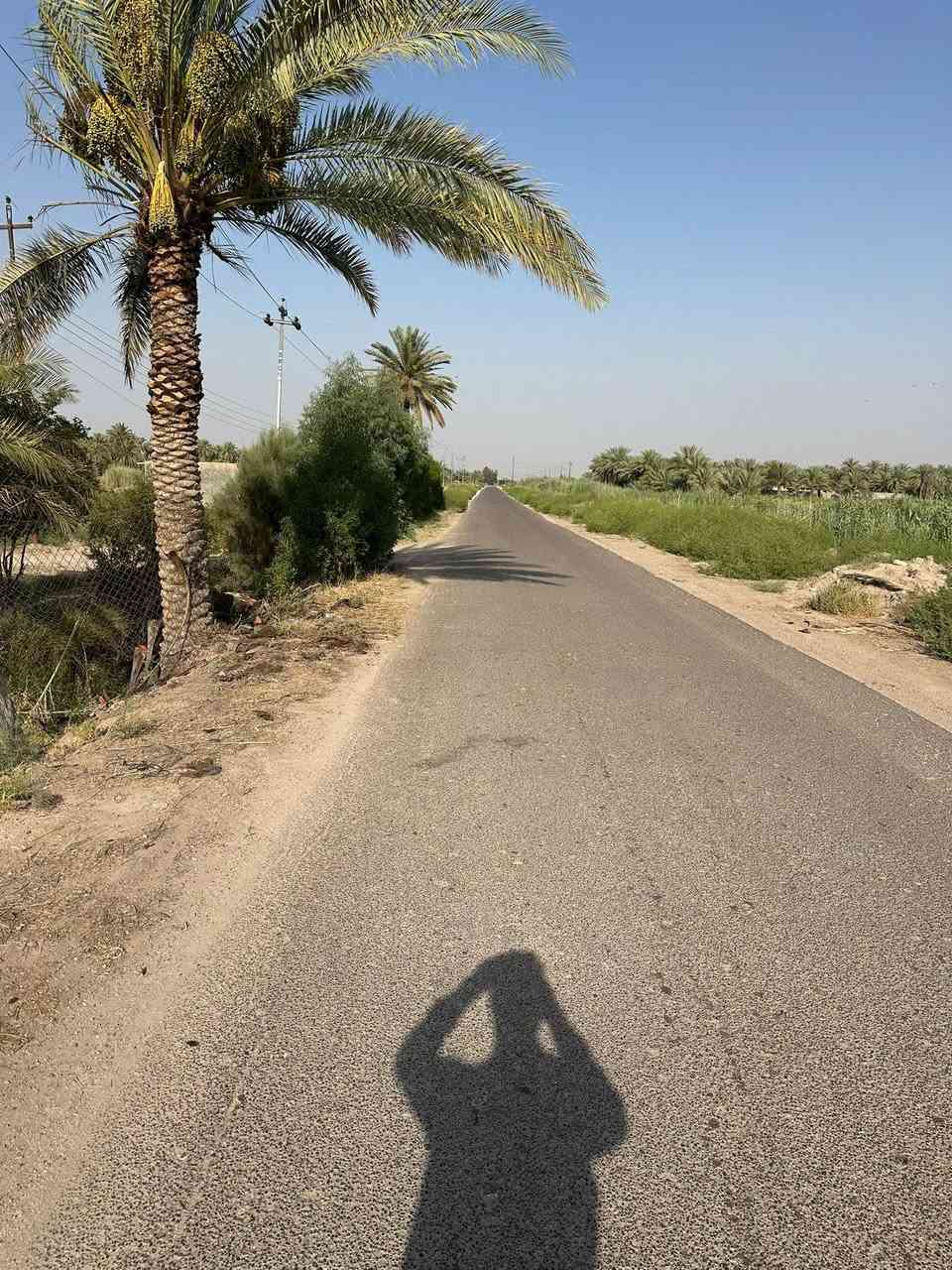 السلام عليكم…أرض زراعيه للبيع سند25 ملك صرف….منطقة الشيتيه  تبعد عن الشارع العام حله بغداد…حوالي 2كيلوا… أرض جاهزه للزراعه او البناء… متوفر كافة الخدماء تبليط وكهرباء وماء أساله وماء نهر…موقع مميز
المساحه الكليه👈6650م
الواجهه👈35م
النزال👈190م
الأستفسار امجد العلواني للعقار (***********)حي17 قرب جامع رسول
