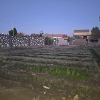 الصياحية قرب كوين بارك • ١٠٠٠م • سند ٢٥ زراعي