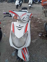 سكنس فحل للبيع نوزل كوري كفاله عامه شرط الفحص 750 سبعميه وخمسين وبيه م...