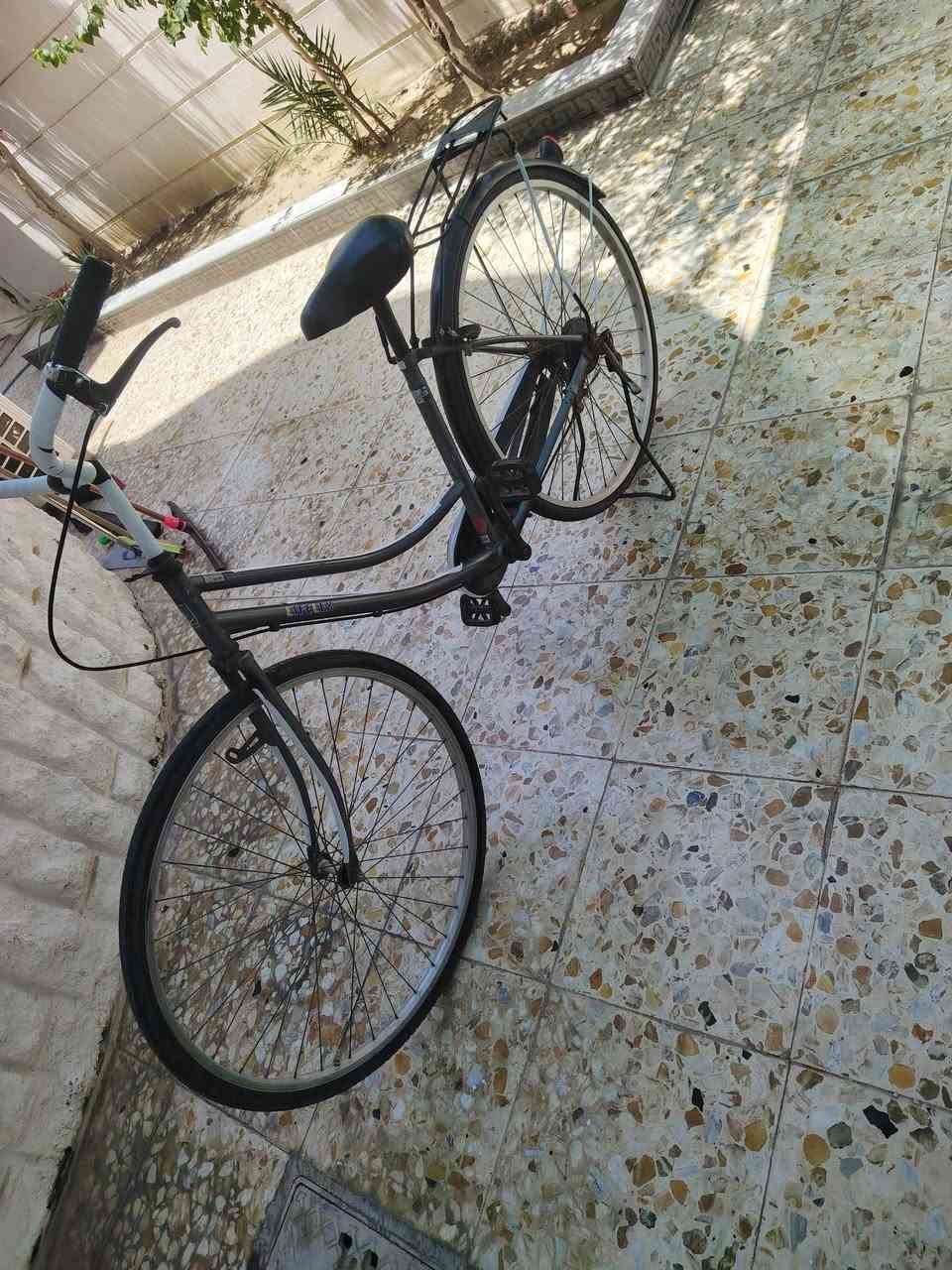 بايسكل ياباني حجم ٢٧ كله شغال السعر ٧٠ وبي مجال كركوك حي عدن بيع مستعجل عليه


**إذا كنت صاحب هذا الإعلان وتريد حذفه لأي سبب، رجاءا أرسل رسالة إلى الدعم الفني**