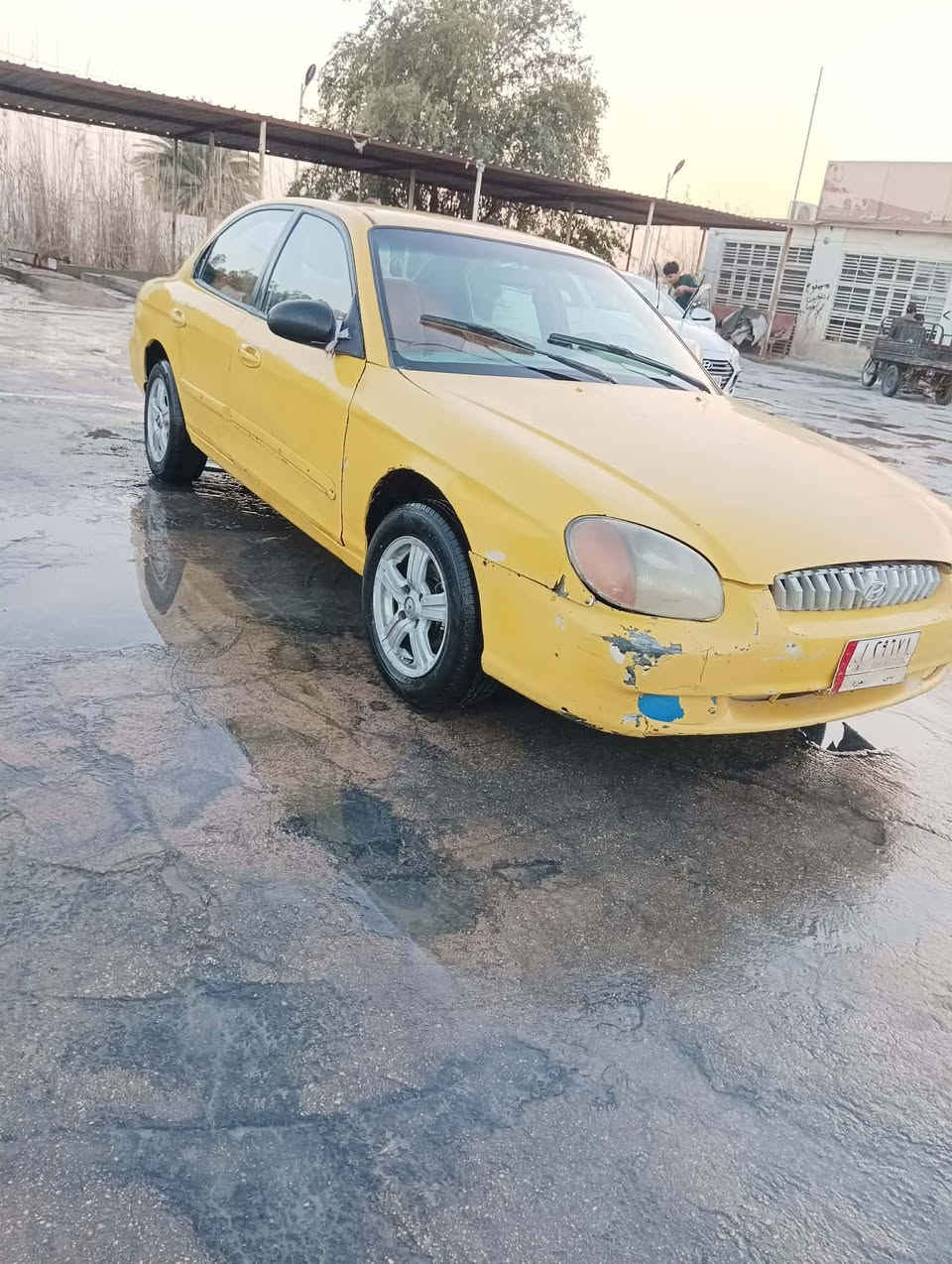 السلام عليكم شباب هونداي سوناته  موديل 2001رقم بابل ألماني تحويل مباشر ماكينه شرط الكفاله كير اتماتيك هيىه وغرامات مصفره سنويه ساقطه بل 2019 كهربايات كله شغال تخم تاير جديد حدادي نضيفه سياره خير من الله مال جناي  السعر 21وبيه مجال للشراي مستعجل  على بيعته عندي مريض   مكاني بابل هذا رقمي*********** الاتصال فقط
