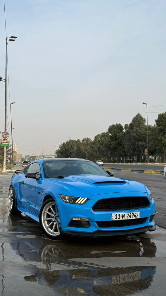 فورد موستنك للبيع 2017
اللون مميز أزرق بحري 💙
الفئة V6 (ستة سلندر)
رقم بغداد (رقم و سنوية جديدة)

-  ماشية 65mile
- السيارة جديدة كاملة وبدون نقص
- منظومة أكزوزت روش كاملة
- درگـة كاربون فايبر rpm 
- شوتة K&N أصلية
- حلوك كورسا أصلية
- سبايدر كاربون فايبر أصل
- سقف روز رايز
- عليها دبات بورلا اصلي
- محرك وكير وأكسل بشرط 
- فول تحكمات ستيرن
- كامره دوارة
- تشغيل عن بعد
- بلاجكتور بلاد
- بگ لايت ٢٠٢٣ 
- ويالة فيرادا اصلي
- لحية سيرفيني 
- دعامية خلفية GT
- سبايدر 
- ٤ صالنصات
- دفيوزر شيلبي
- هـود بنيد

🔵 حادث السياره فقط باب بجم كبس شاصي لغد مكفول و صورة الحادثة موجودة بالمنشور.

 🔵 السيارة نظيفة حيل و متعوب عليها و مصروف عليها هواية ، الدهن بس أصلي و البانزين بس محسن.

🔵 مكان السيارة بغداد 
السيارة بأسمي بشرط التحويل.

للاستفسار أتصال أو واتساب
***********
