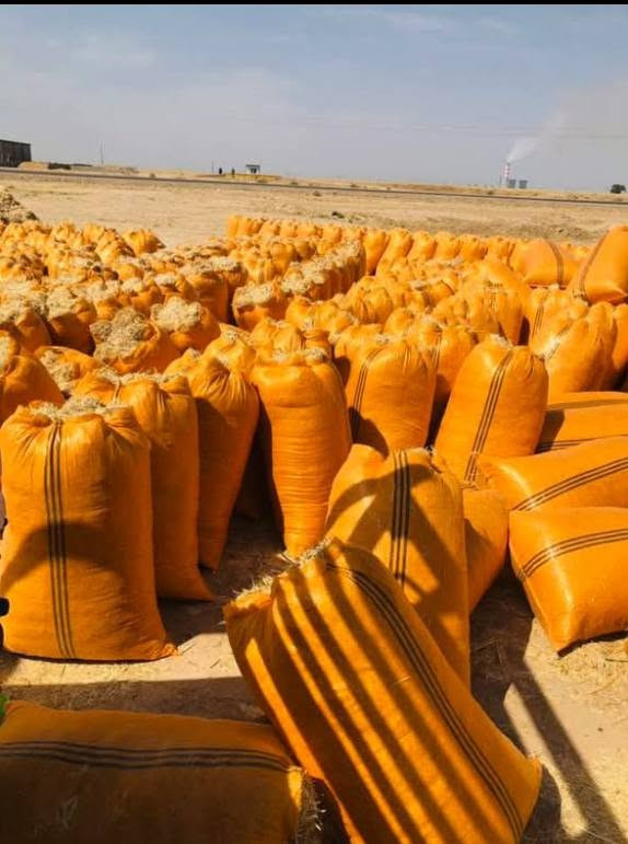 السلام عليكم يوجد تبن مال السنة سعر الزواج بل بكان 2500يوجد توصيل الجميع محافضات العراق.  الرقم/***********
