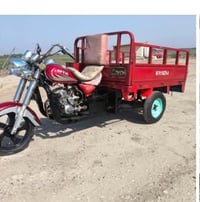 ستوته • ٢٠١٠ • فيه مجال