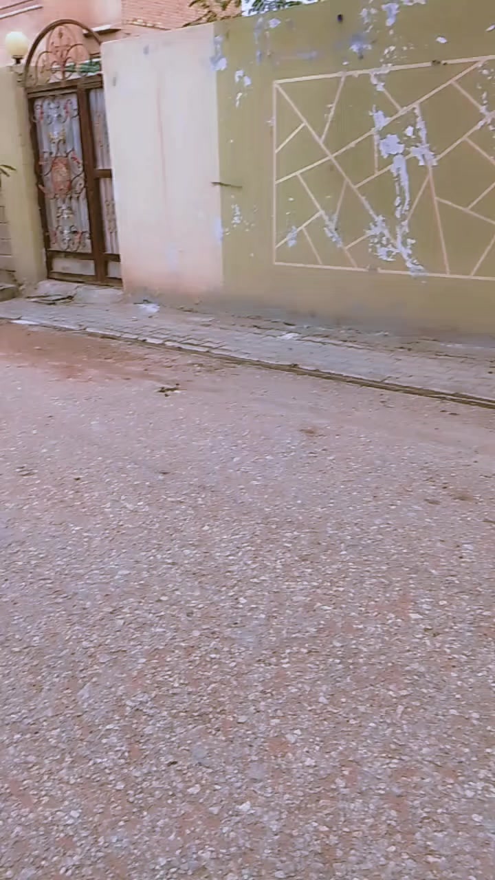 السلام عليكم يأبه مدفوع وكامل جاهزه للترقم 

مفتوحه تجفيت اصلي اصلي بس اليوشه 85

اوراق كامله اتكاتب وياك يم الوكيل 

موديل 2019/11 طابه 2020 نضيفه ومرتبه مال جناي  
مكاني نجف الاشرف  

السعر 700وبيهاا مجال اتكاتب وياك وين ميعجبك


**إذا كنت صاحب هذا الإعلان وتريد حذفه لأي سبب، رجاءا أرسل رسالة إلى الدعم الفني**